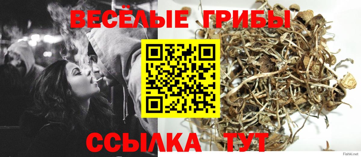 Долгопрудный  Галлюциногенные грибы MAGIC MUSHROOMS  Вход с VPN 