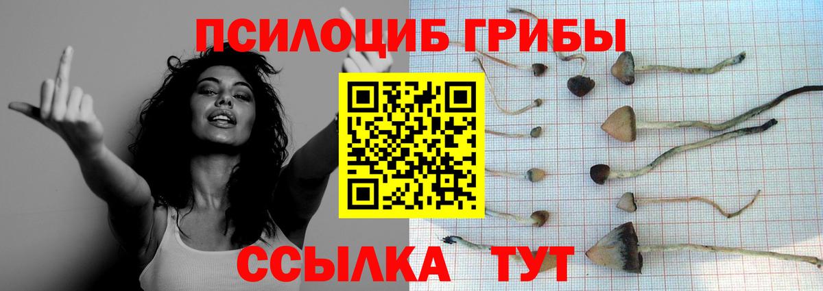 Псилоцибиновые грибы Magic Shrooms Долгопрудный